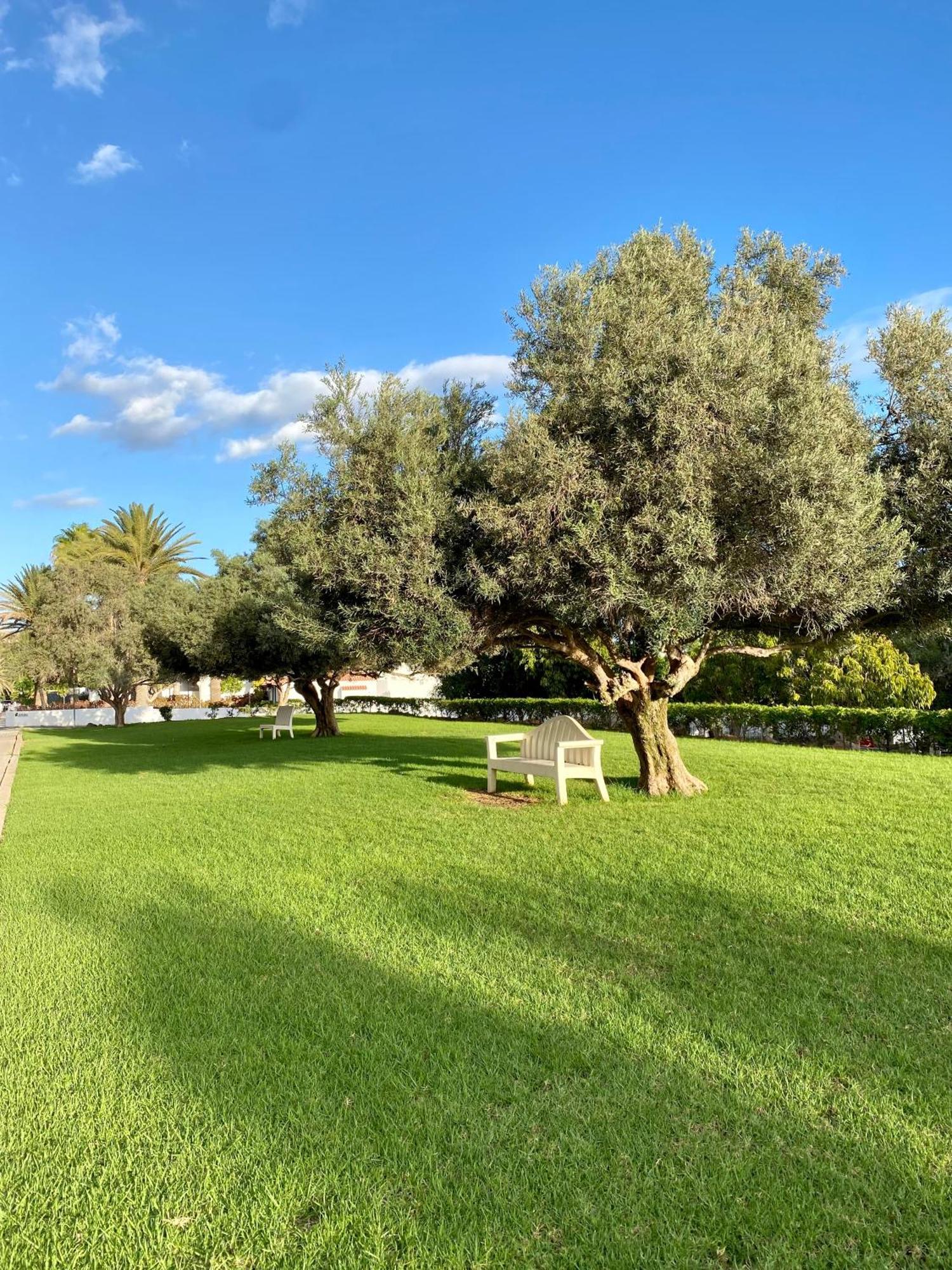 Casa Con Terraza Y Piscina En Pasito Blanco, Cerca De Maspalomas Exteriör bild
